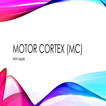 Motor Cortex