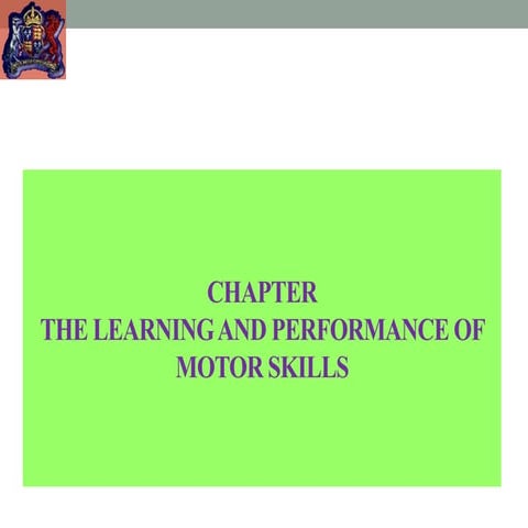 Motor skills in PE.ppt