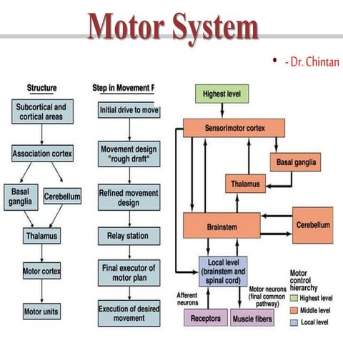 Motor system