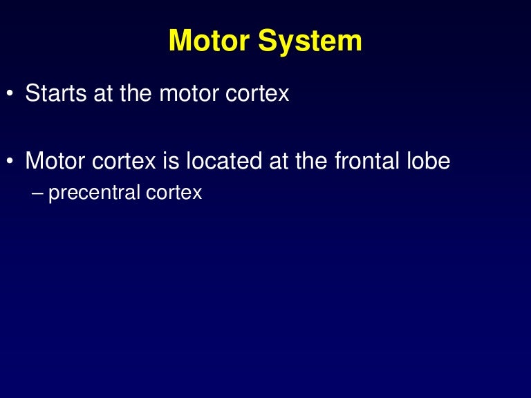 Motor system introduction