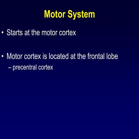 Motor system introduction