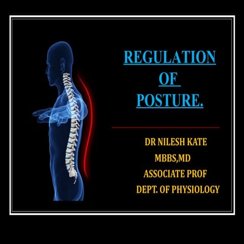 MOTOR SYSTEM IV REGULATION OF POSTURE