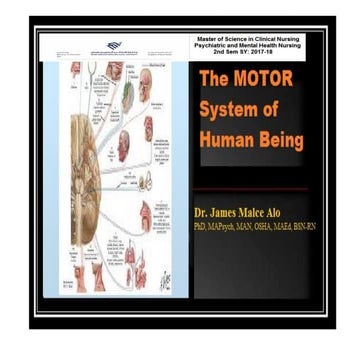 Motor system of human being-Part 1.drjma.pdf