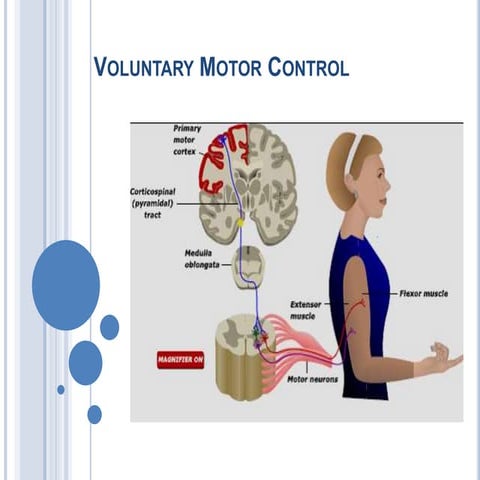 Motor system overview