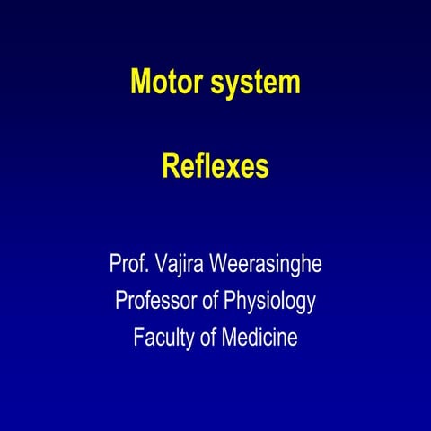 Motor system reflexes for students