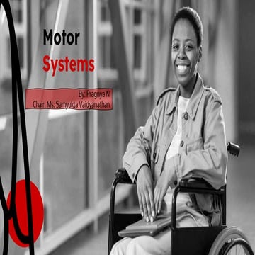 Motor systems overview anatomy and functions