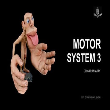 Motor System Student Handout 08.05.23.pdf