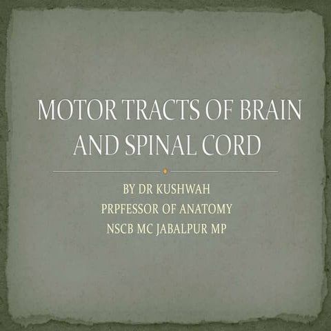 Motor tracts of brain and spinal cord