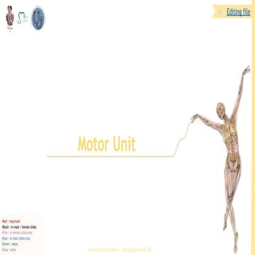 Motor Unit elaborate in physiotherapy.pdf