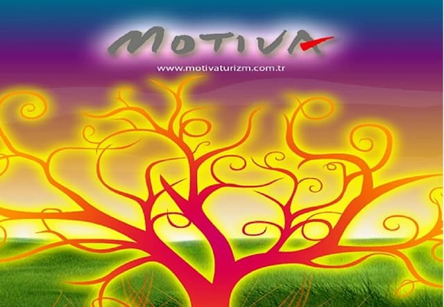 MOTIVA DMC