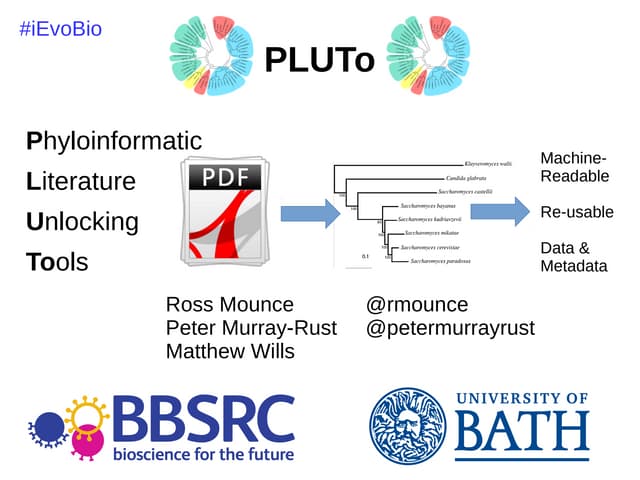 The PLUTo project @iEvoBio 2014