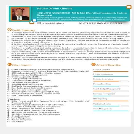 Mounir cv updated april 2016