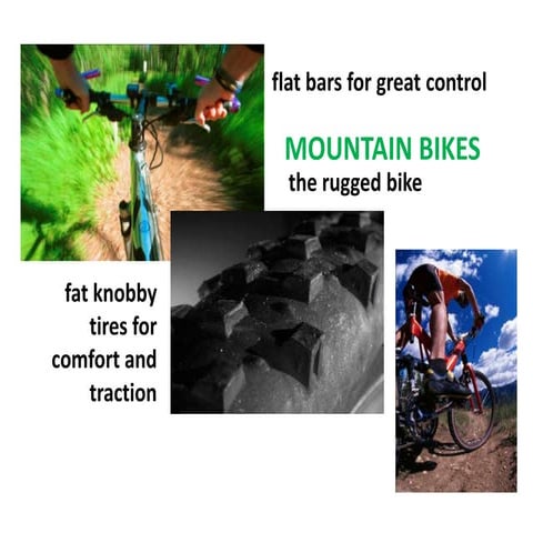 Mountain bike