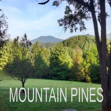 Mountain and Coastal Pines