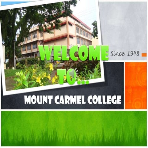 Mount carmel college