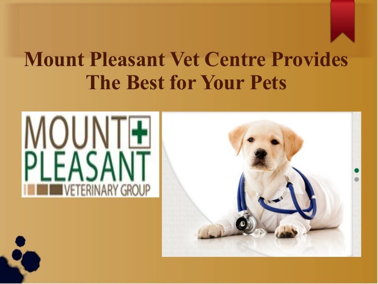 Mount Pleasant Vet Centre Provides The Best for Your Pets