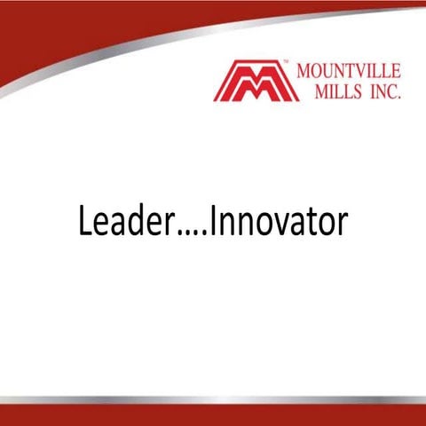 Mountville Corporate Power Point | PPTX