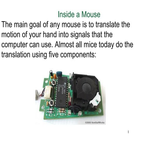 THINGS ABOUT MOUSE
