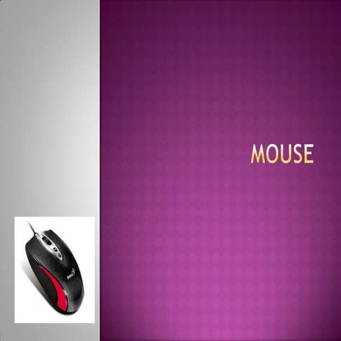Mouse y sus partes