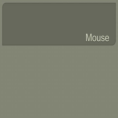 Mouse