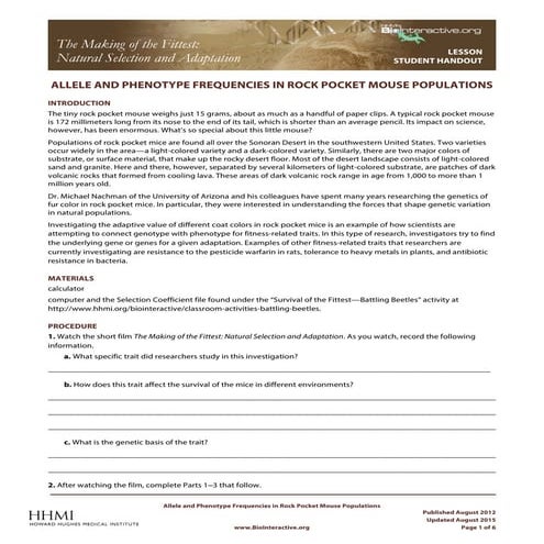 Mouse hardy weinberg_student