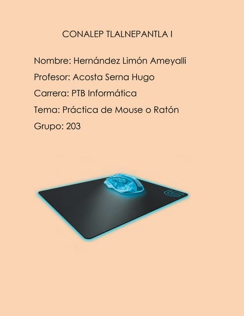 Tipos, Fallas y Soluciones del Mouse | PPT