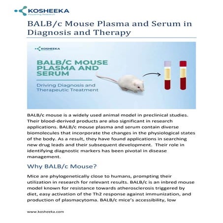 BALB/c Mouse Plasma and Serum in Diagnosis and Therapy | PDF