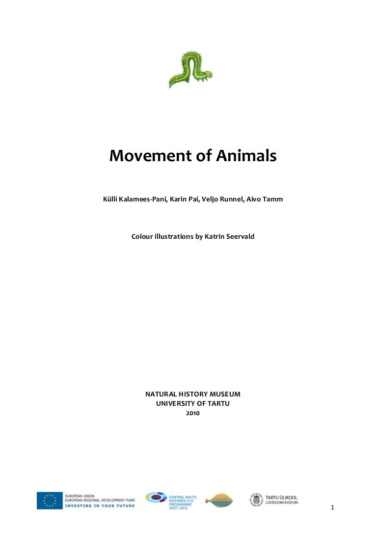 Movement Of Animals 1 Movement Of Animals 1