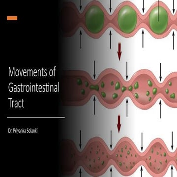 movement of Gut physiology medical .pptx