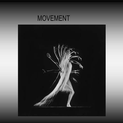 Movement overview class tasks 2016