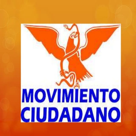 Movimiento ciudadano