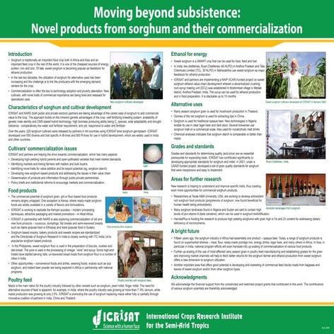 Moving beyond subsistence - Novel products from sorghum and their commerciali...