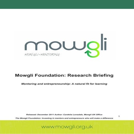 Mowgli Foundation: Mentoring Entrepreneurs for Learning