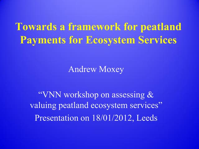 Towards a framework for peatland PES