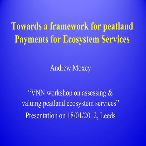 Towards a framework for peatland PES