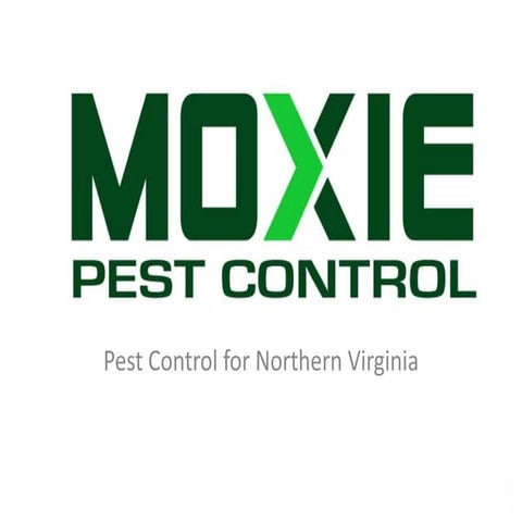 Moxie Pest Control Cincinnati