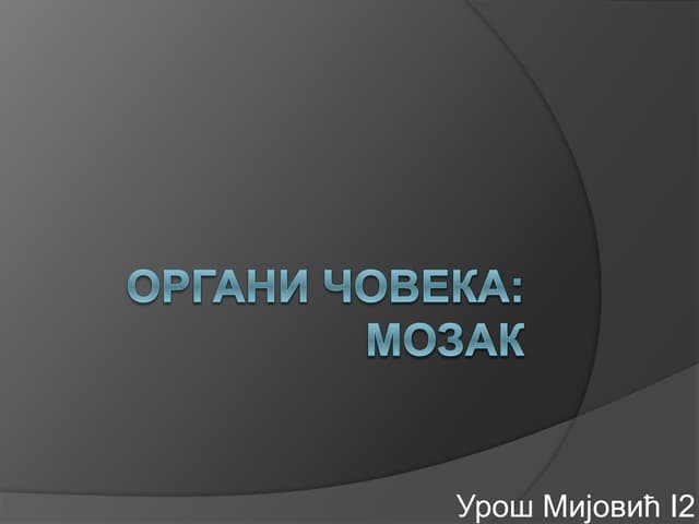 Мозак - У. Мијовић