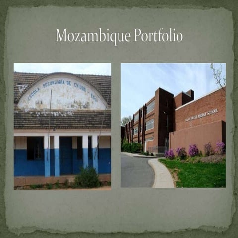 Mozambique portfolio