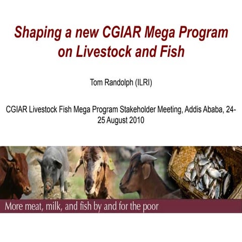 Shaping a new CGIAR Mega Program on Livestock and Fish: The Proposals 