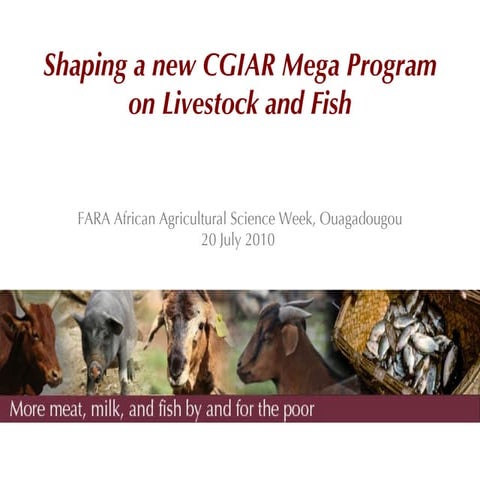 Shaping a new CGIAR Mega Program on Livestock and Fish