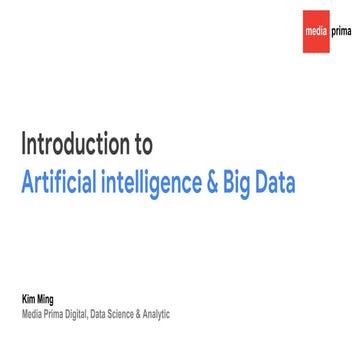 MPB - introduction to AI & Big Data