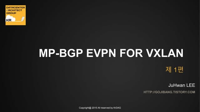 MP BGP-EVPN 실전기술-1편(개념잡기)
