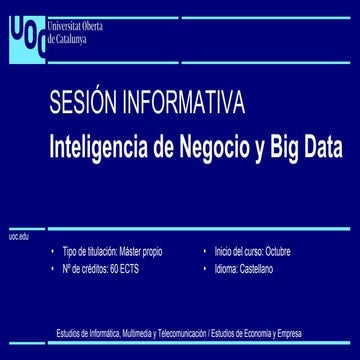 Presentación Programas Inteligencia de Negocio y Big Data