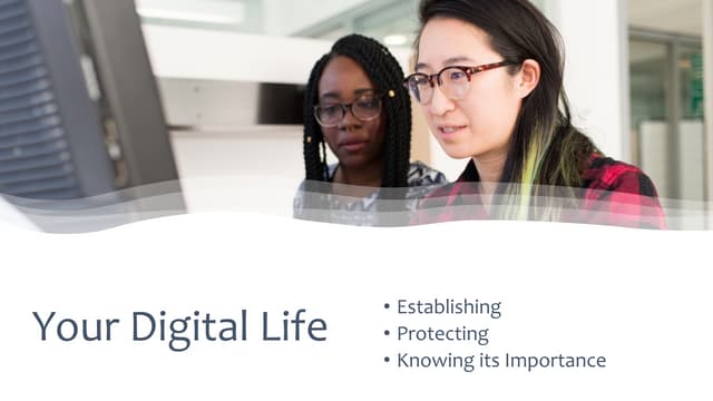 MPH Online Identity April 2022.pdf