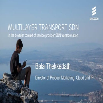 Multilayer Transport SDN - In the Broader Context of Service Provider SDN Tra...