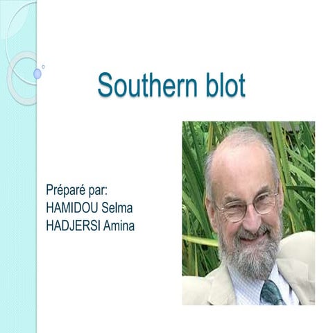 Southern blot