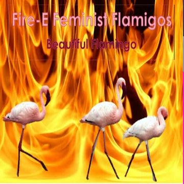  fire e feminist flamingos