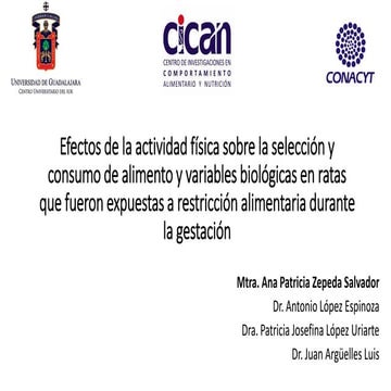 CICAN | Coloquio Doctorado 2016A | Ana Patricia Zepeda Salvador