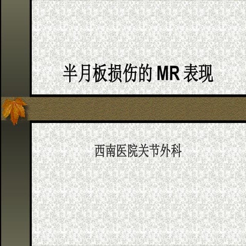 半月板Mr