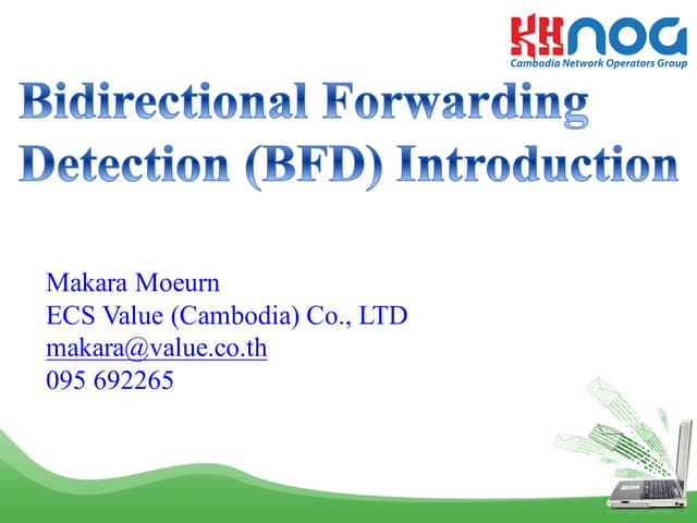 Bidirectional Forwarding Detection (BFD) 